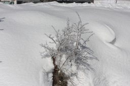 Kandersteg 2013